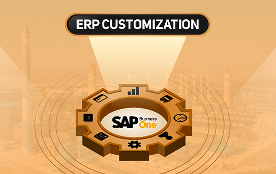 Benefits of Custom ERP Software for Your Business