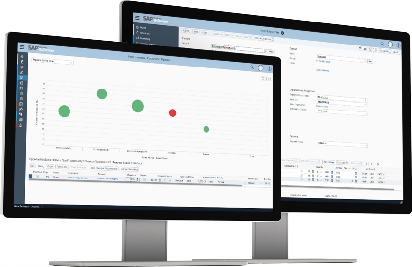 Two Desktops With SAP Business One Result On Their Screen