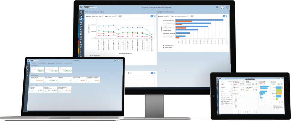 Different SAP Business One Results On Tablet, Laptop & Desktop Screen