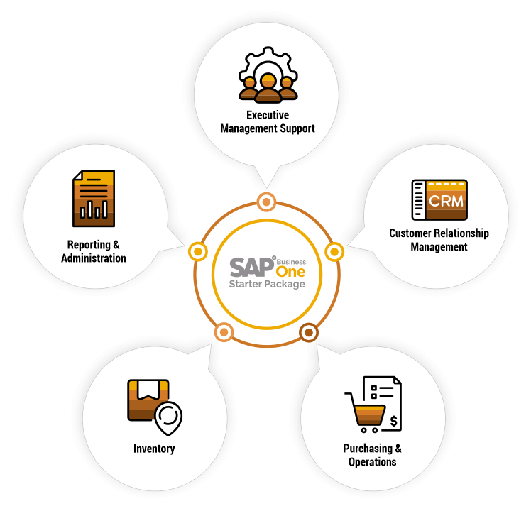Diagram Of SAP Business One Starter Package