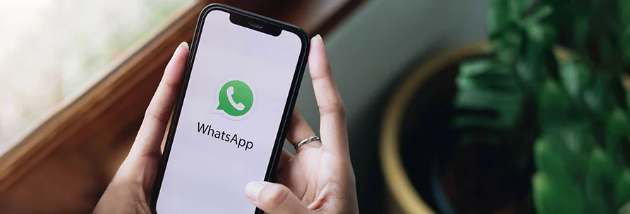Women Hand Holding Phone Has WhatsApp On Screen