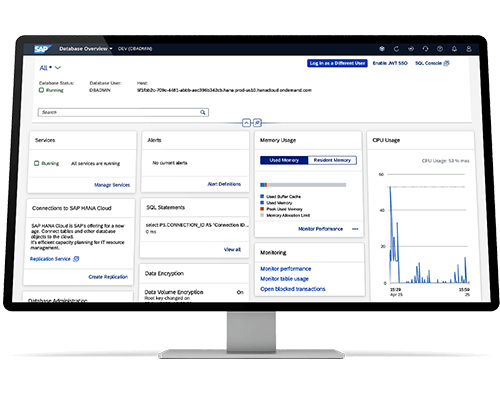 Database Overview On Desktop Screen